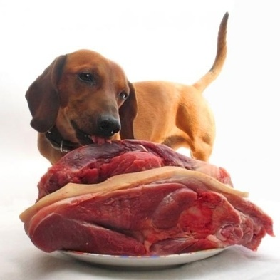 мясо для собак, сырое мясо собакам, кормить собаку мясом, можно ли собакам сырое мясо, сколько мяса давать собаке, каким мясом кормить собаку, кормление собак мясом